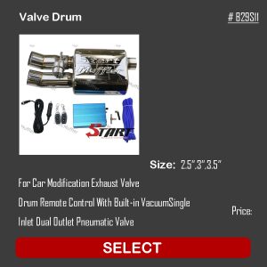 Valve Drum B29S11
