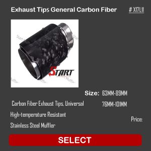 General Carbon Fiber Exhaust Tips X17L11