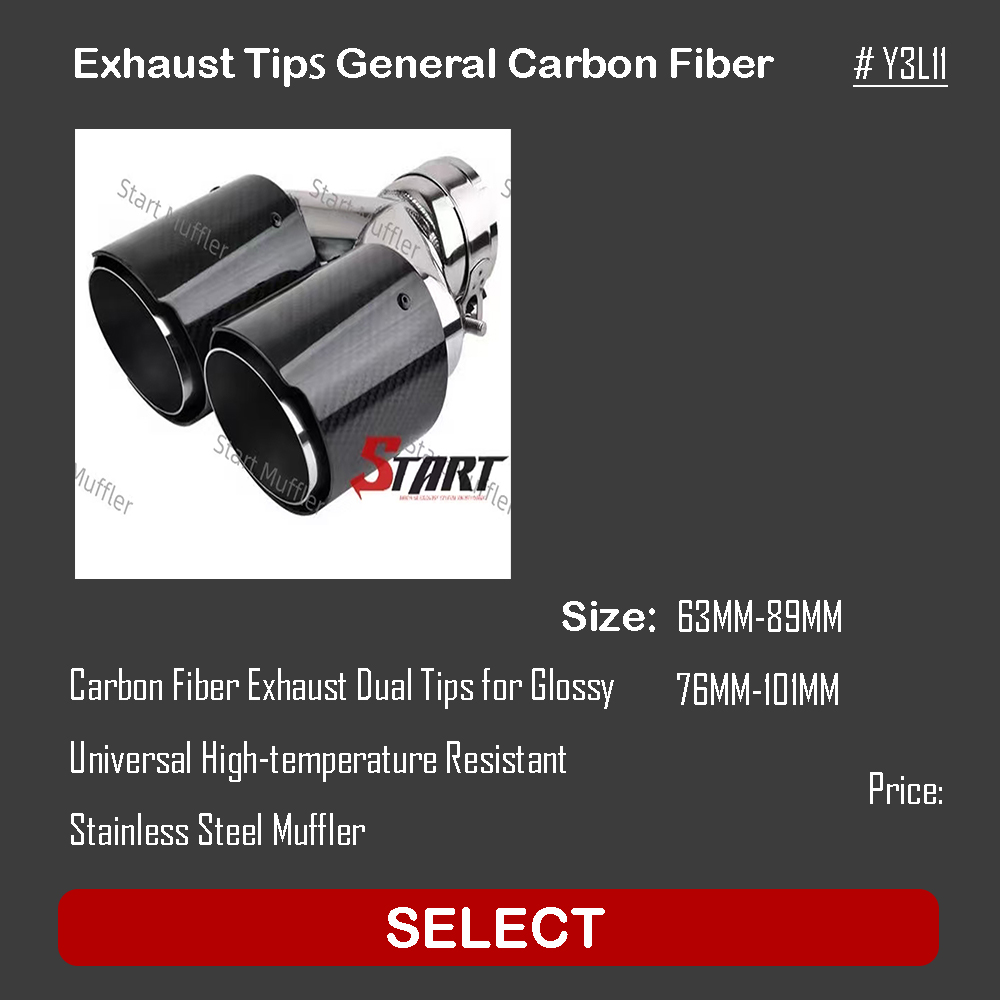 Exhaust Dual Tips General Carbon Fiber Y3L11