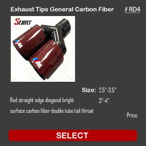 Exhaust Dual Tips General Carbon Fiber RD4